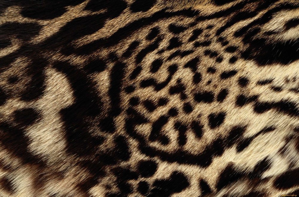 Пятнистый фон