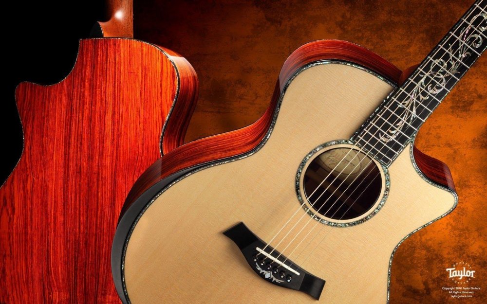 Акустическая гитара guitarist