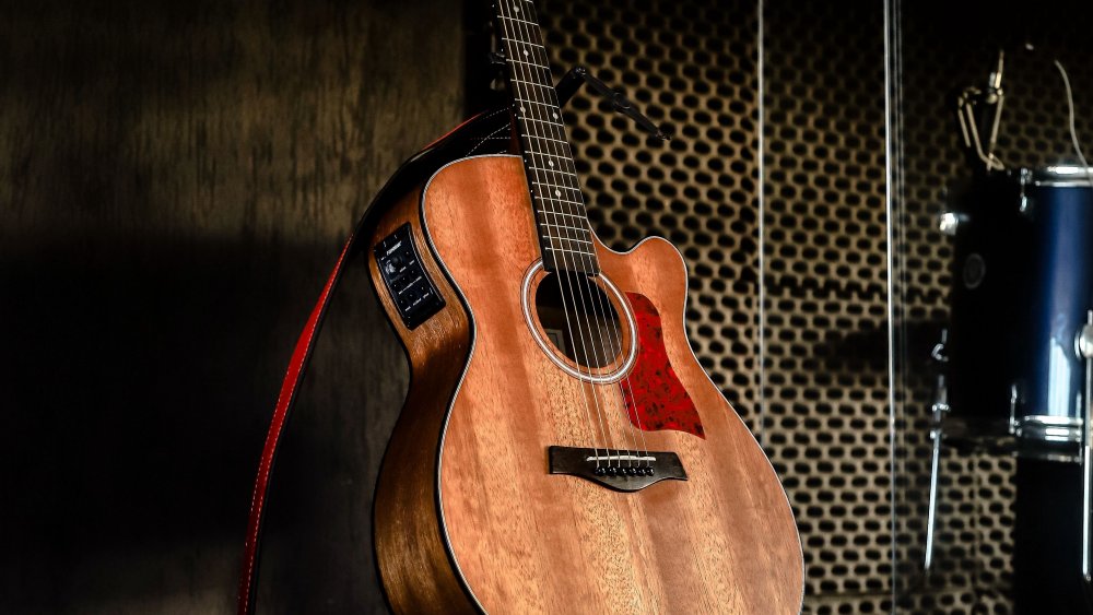 Роберт Браун гитара