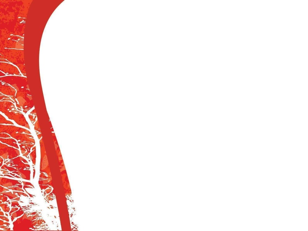 Красно белый фон