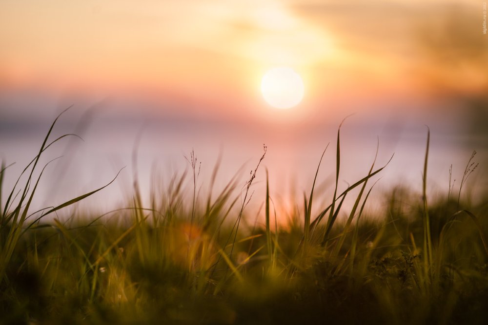 Нежный рассвет