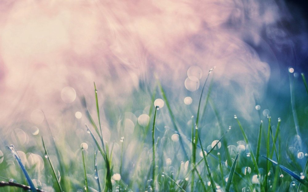 Природа в светлых тонах