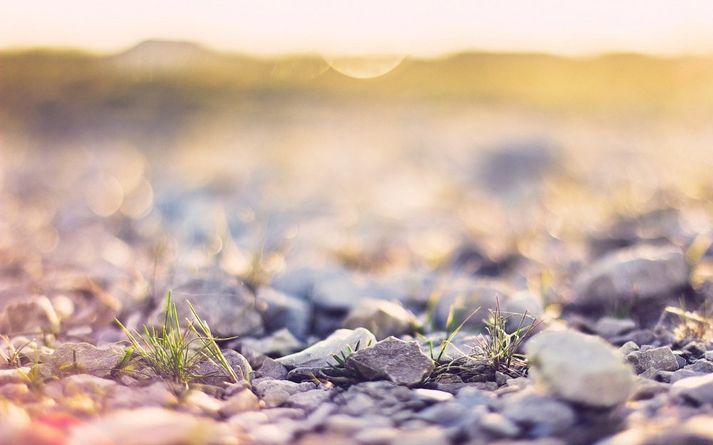 Фон природа размытый