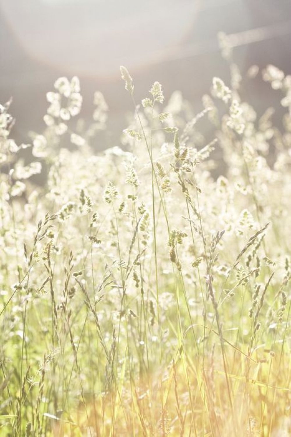 Природа светлая