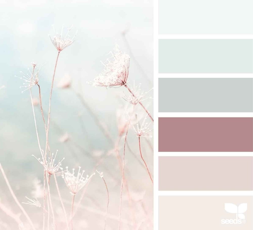 Колор баланс Палитры пудровый