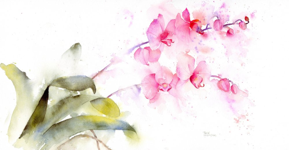 Полупрозрачный цветок акварель