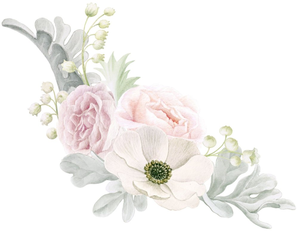 Нежные цветы на прозрачном фоне