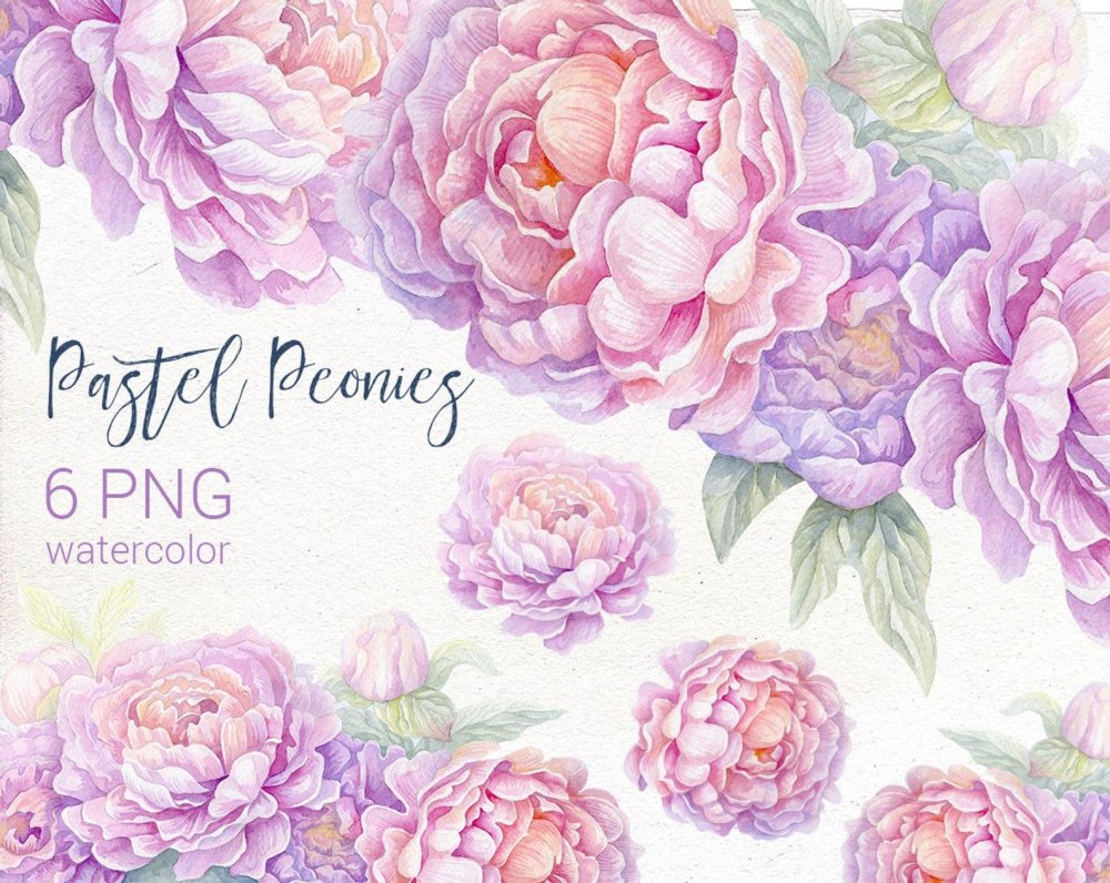 Акварельные цветы для пригласительных пионы
