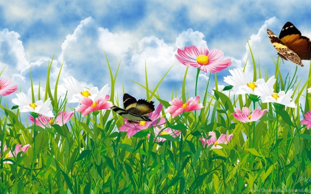 Луг с цветами и бабочками