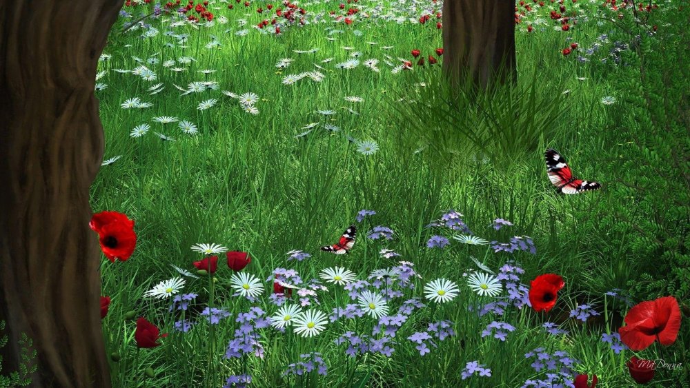Поляна с цветами и бабочками