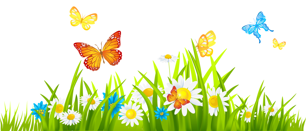 Бабочки цветочки на прозрачном фоне