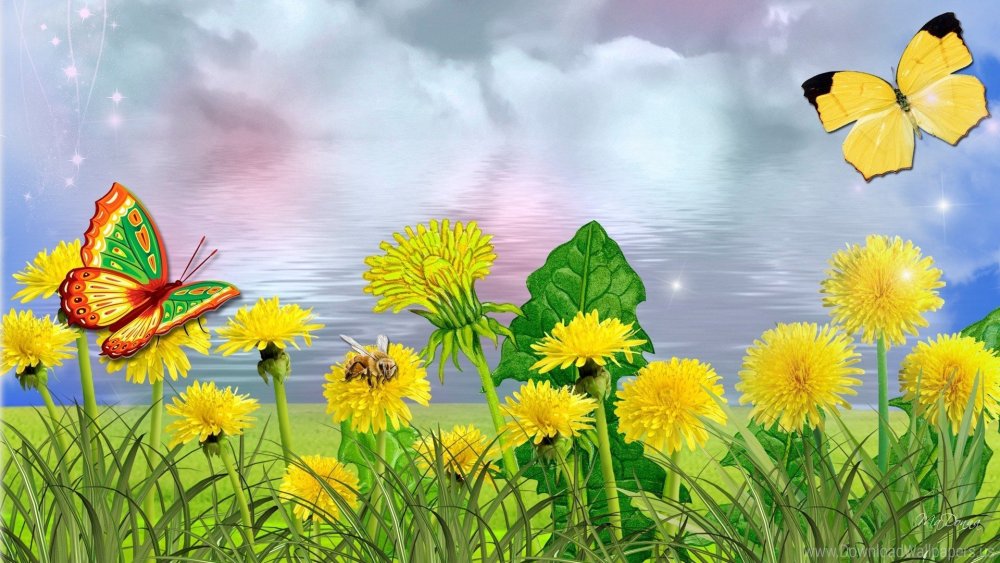 Фон летний детский