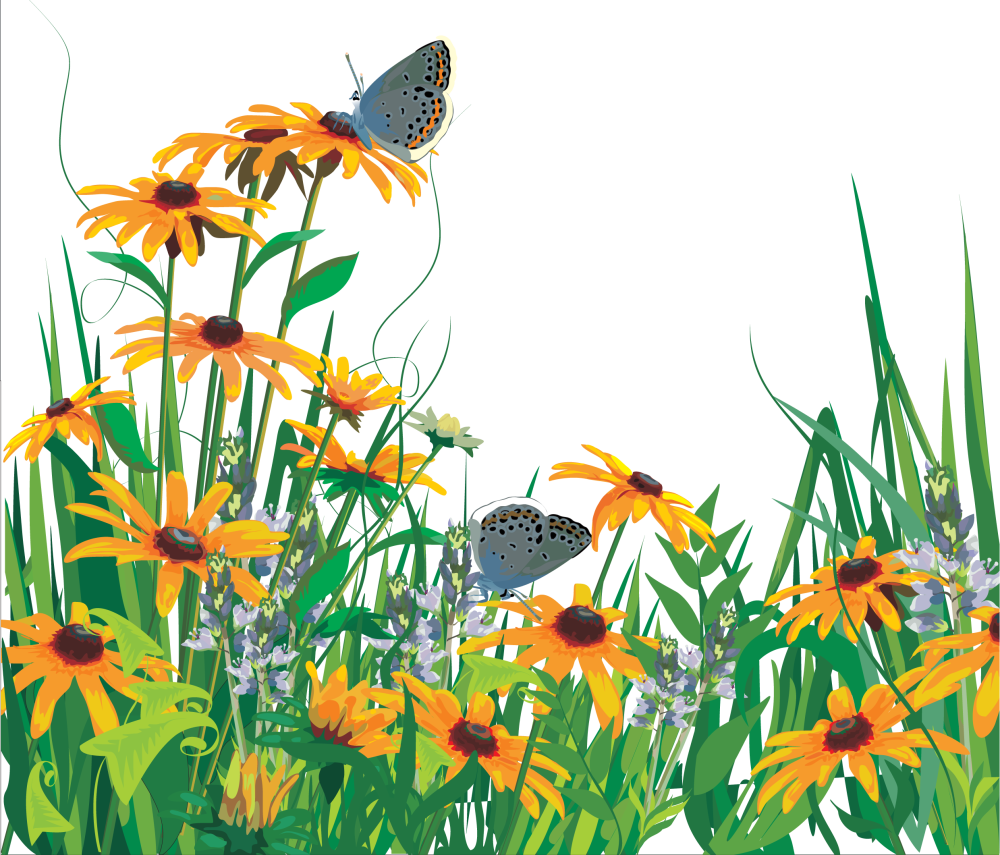 Фон трава небо бабочки