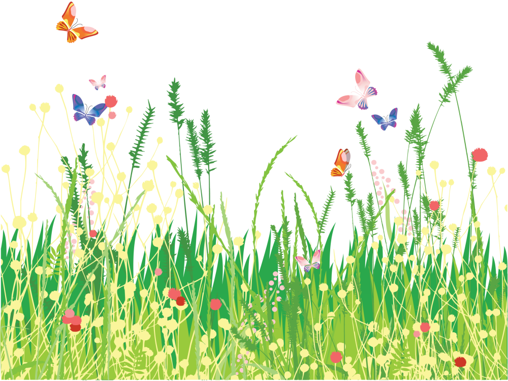 Фон Поляна с бабочками