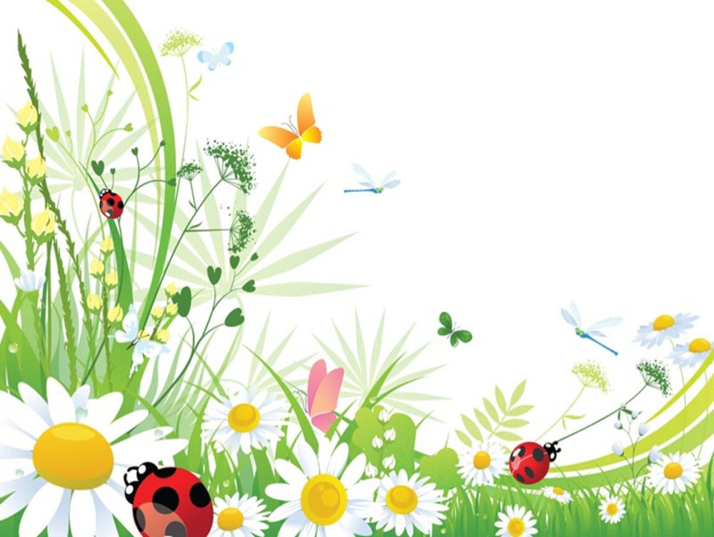 Трава с цветами на прозрачном фоне