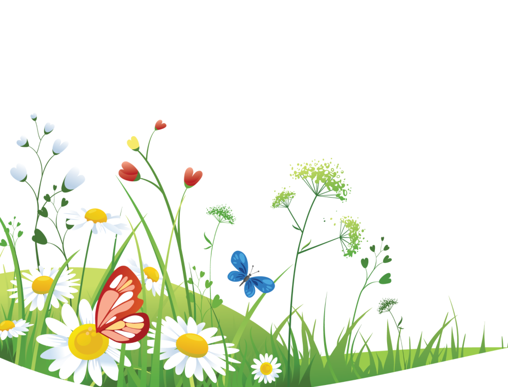 Полянка с бабочками