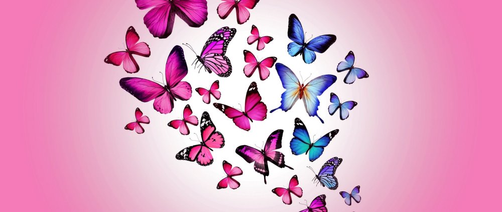 Бабочки на Светлом фоне