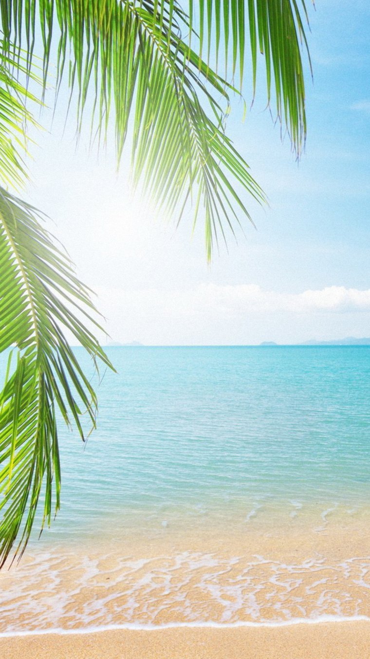 Пляж вертикальное фото