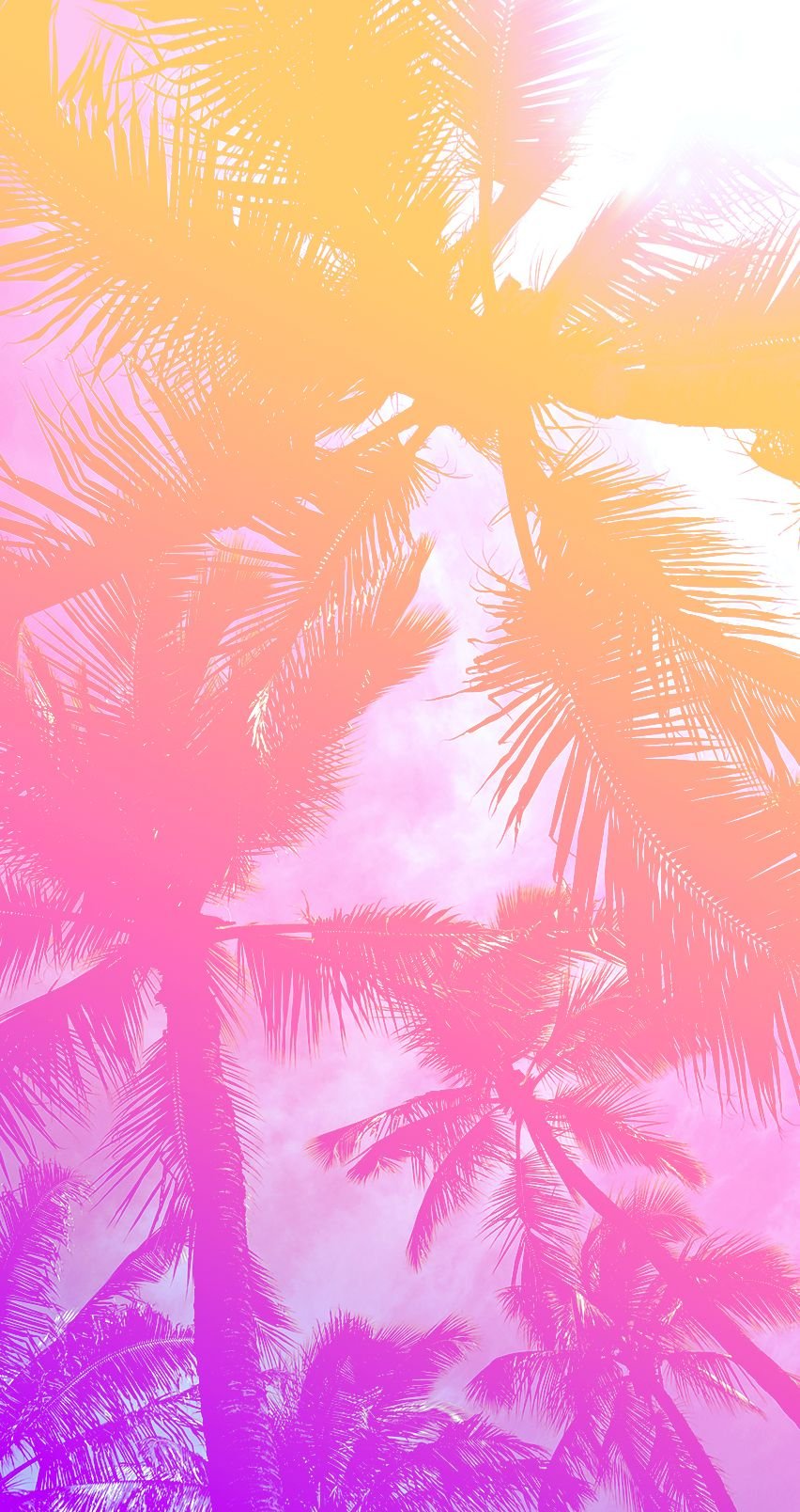 Розовые листья пальмы