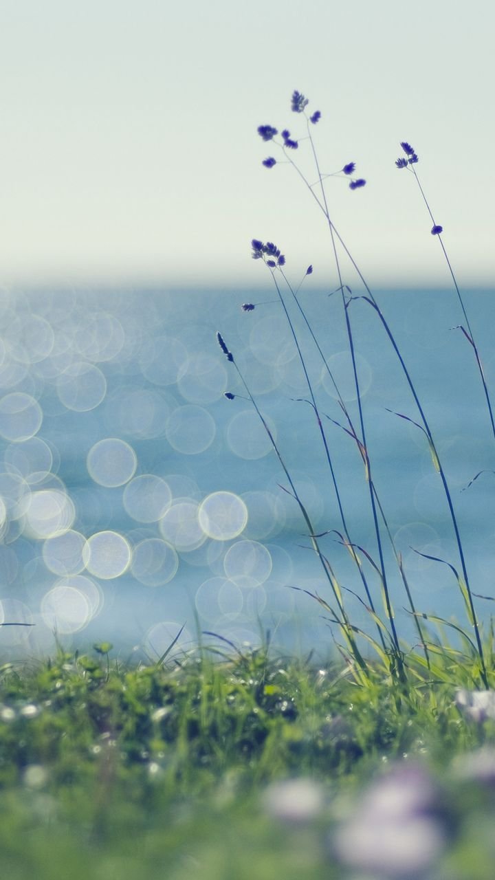 Спокойный фон