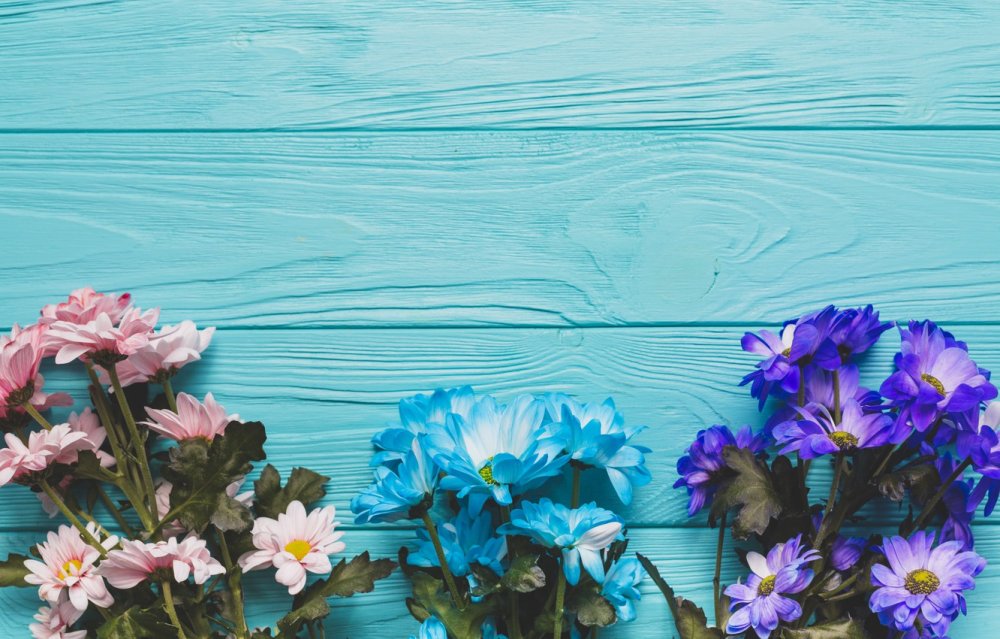 Цветы на бирюзовом фоне