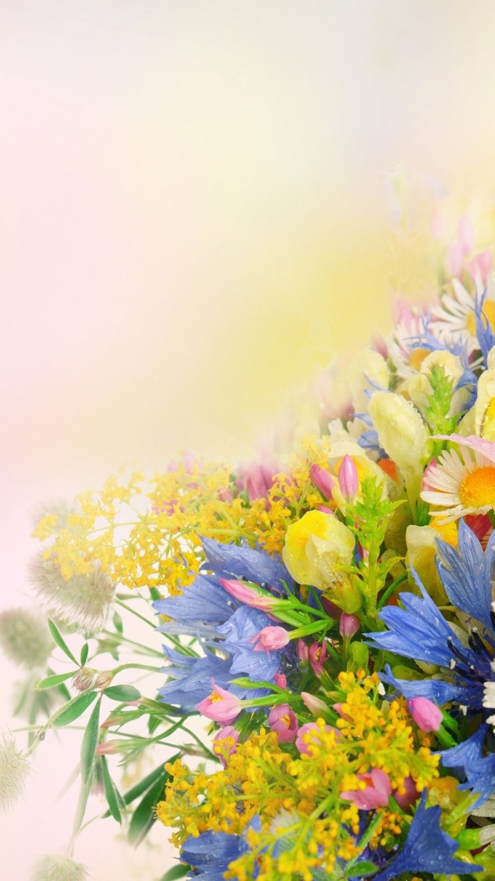 Фон с цветами для открытки