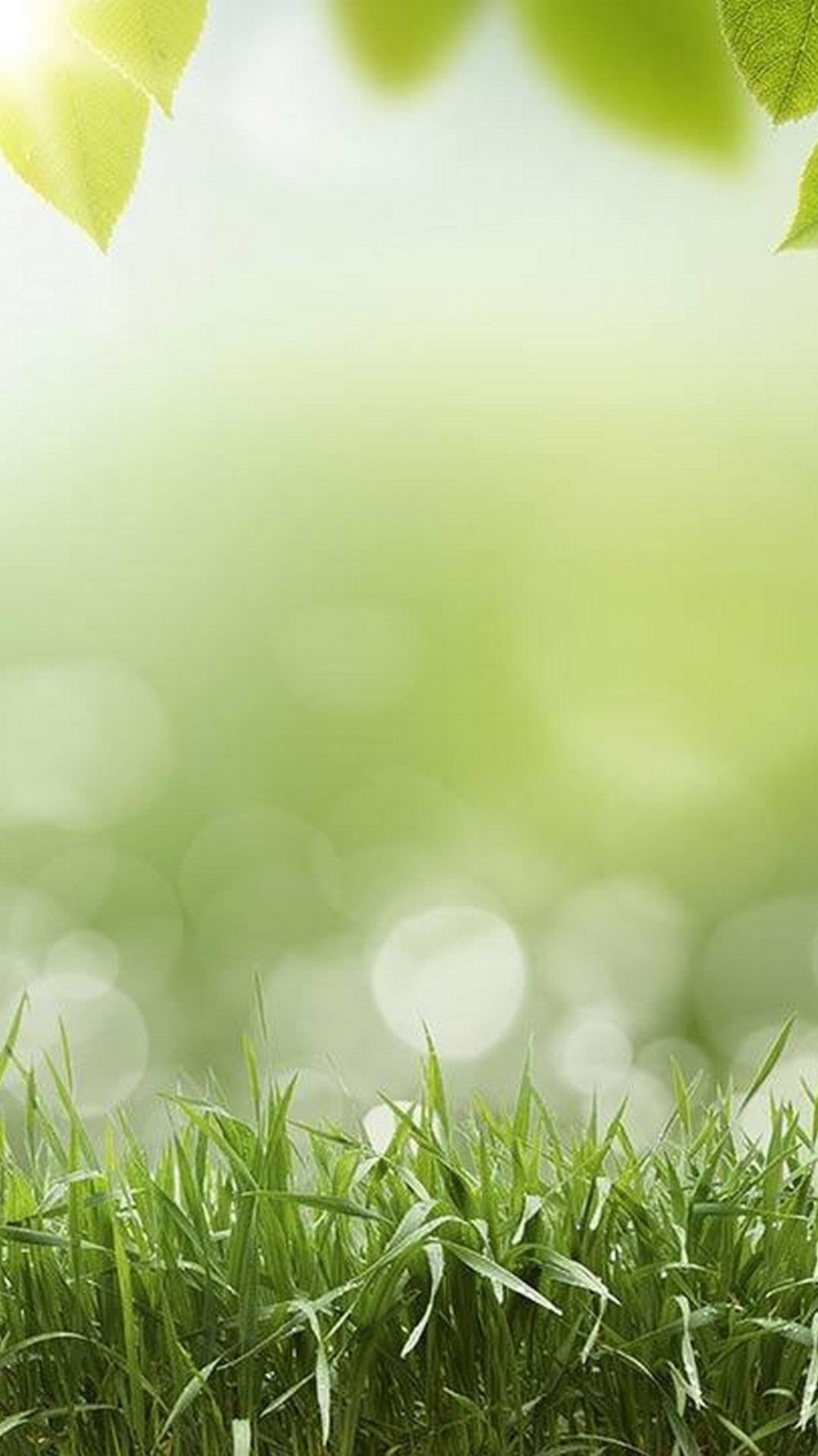 Весенний фон