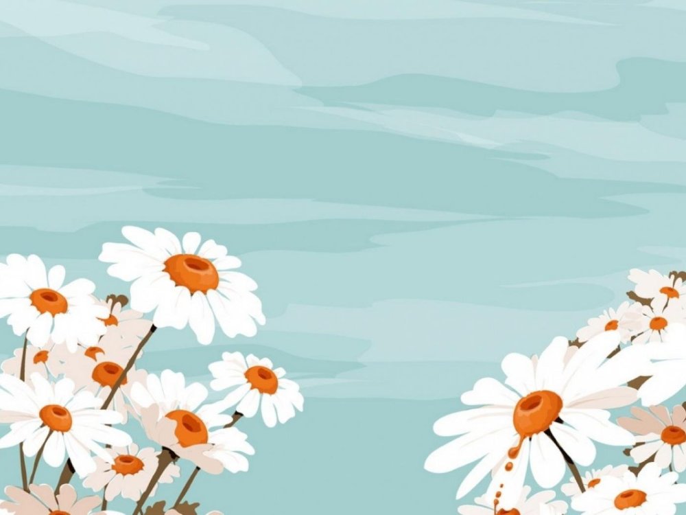 Фон для презентации ромашки