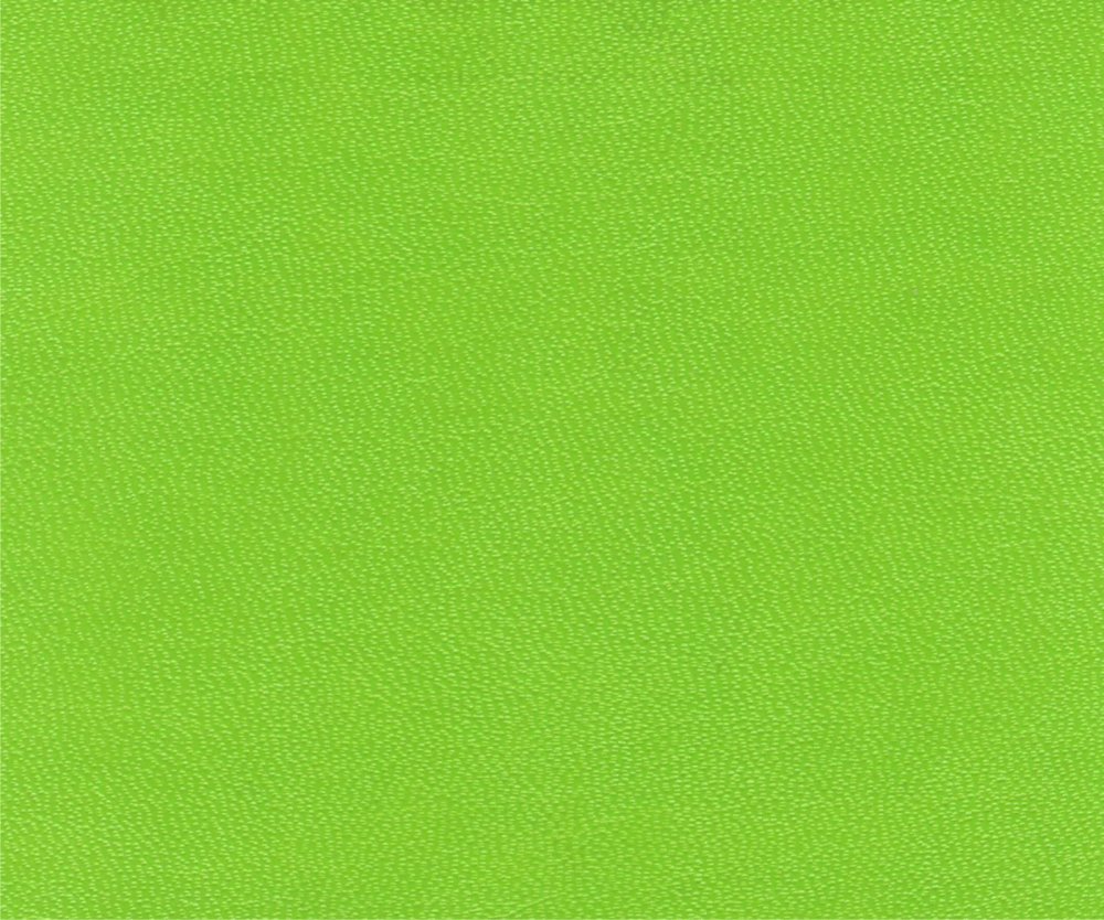 Светло зеленый цвет