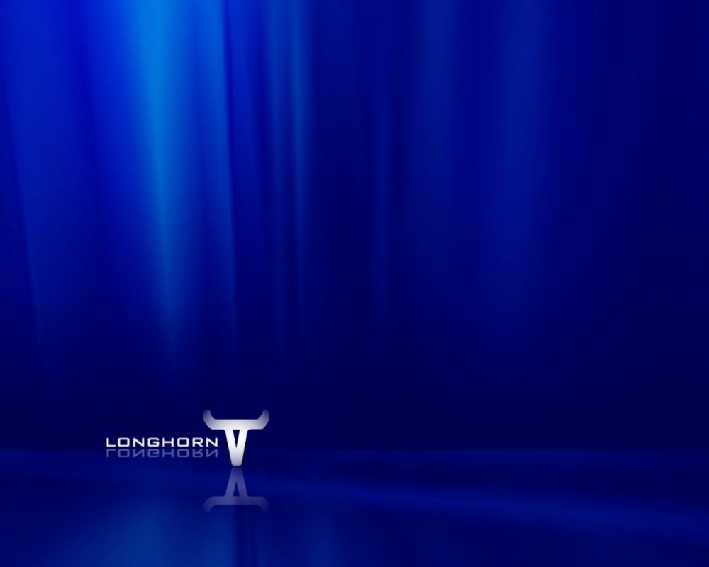 Microsoft Windows Longhorn build