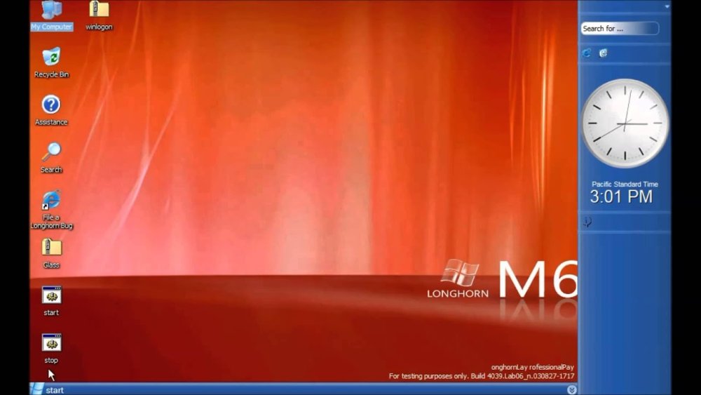 Longhorn XP professional