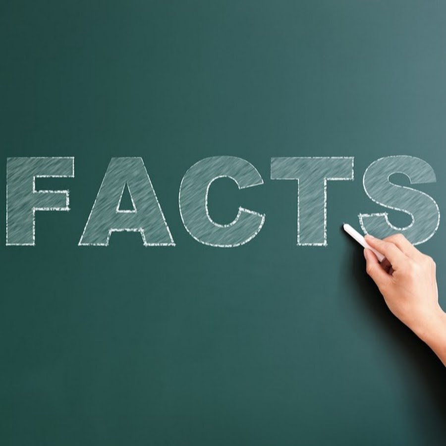 Факты картинка