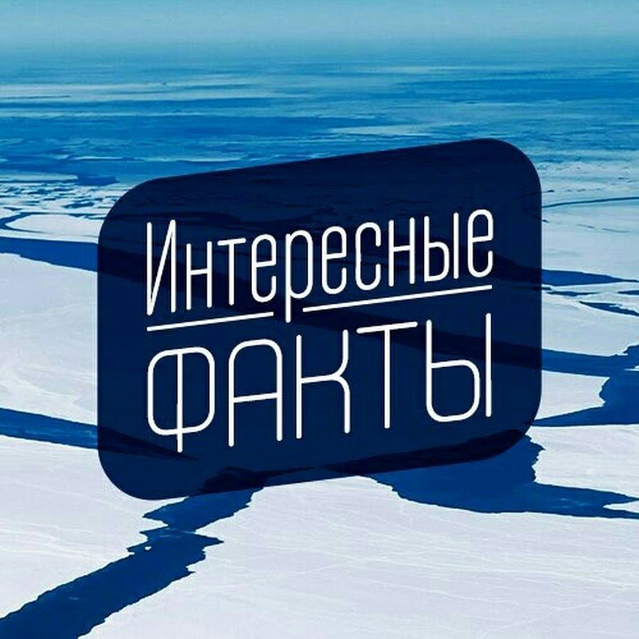 Интересные факты логотип