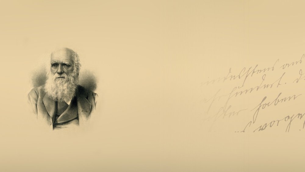 Дарвин Кларк