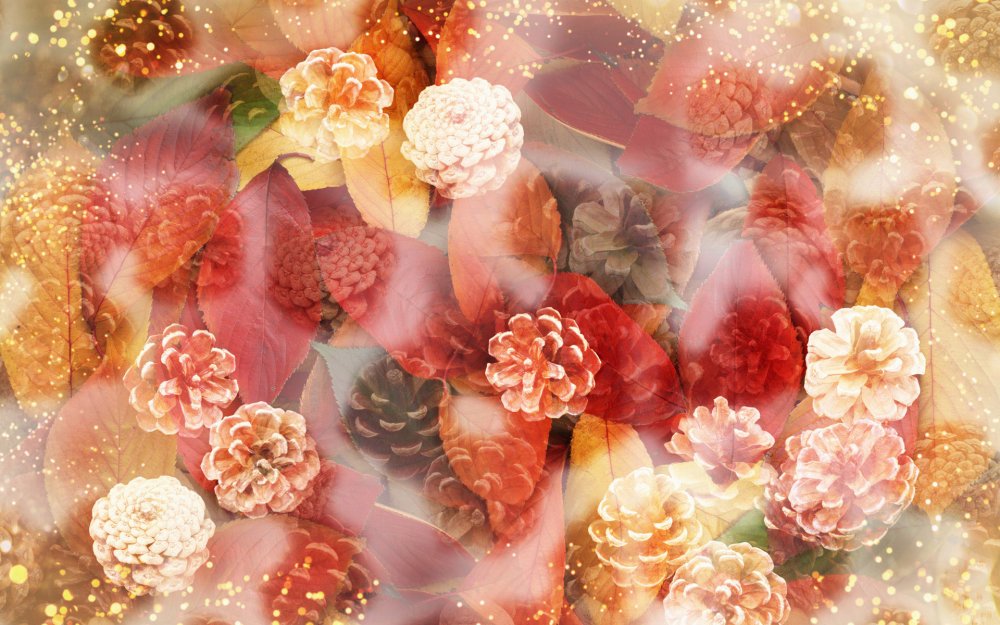 Шаблон для коллажа на 16 фото