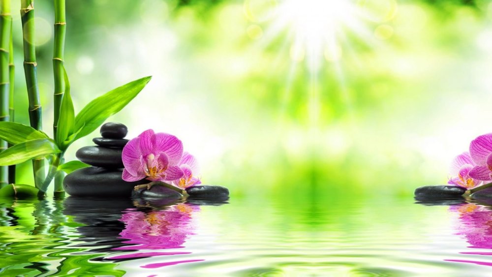 Цвет для релаксации