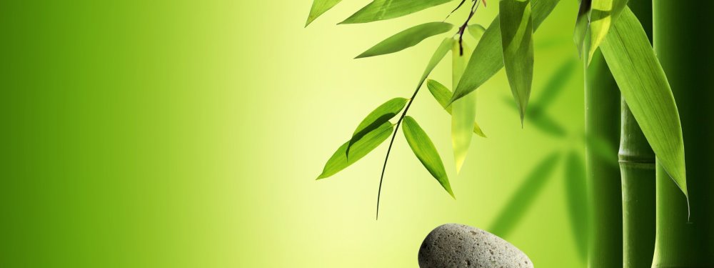 Визитки бамбук