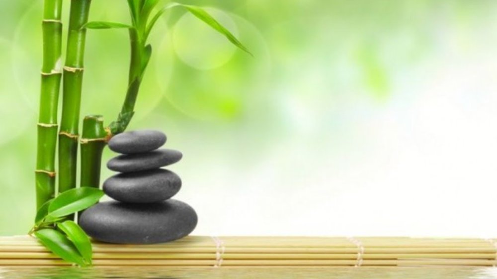 Бамбук спа