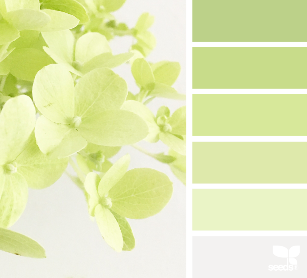 Светло светло зеленый