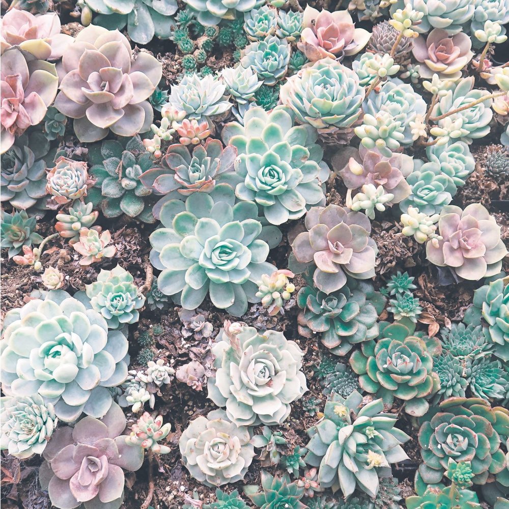 Зеленая текстурная бумага