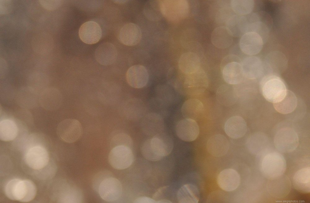 Осень боке