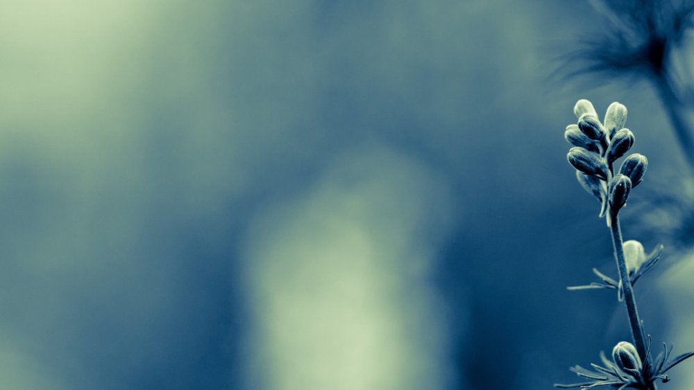 Спокойный фон