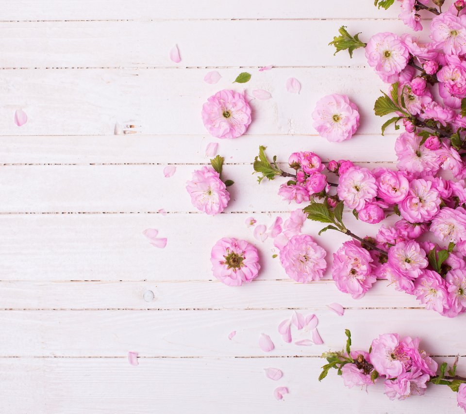 Цветочный фон для поста