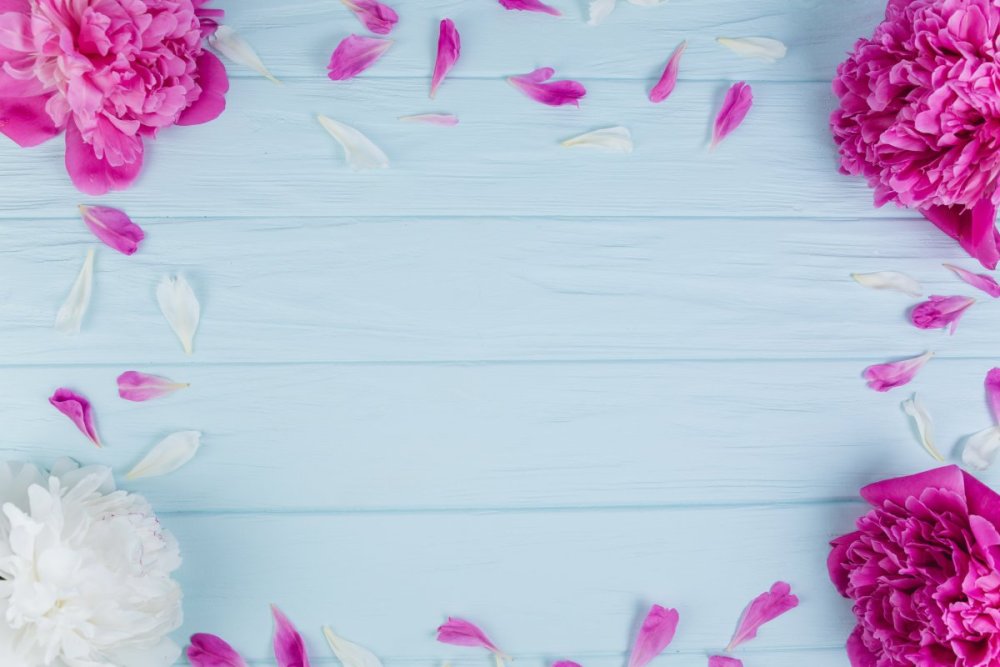 Фотофон пионы