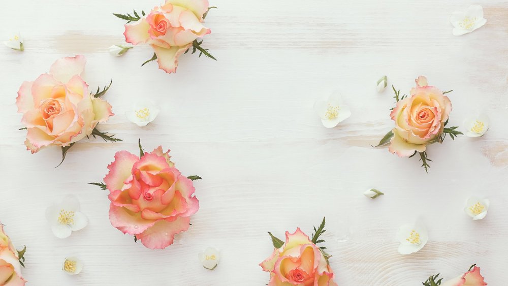 Пастельные цветы фон