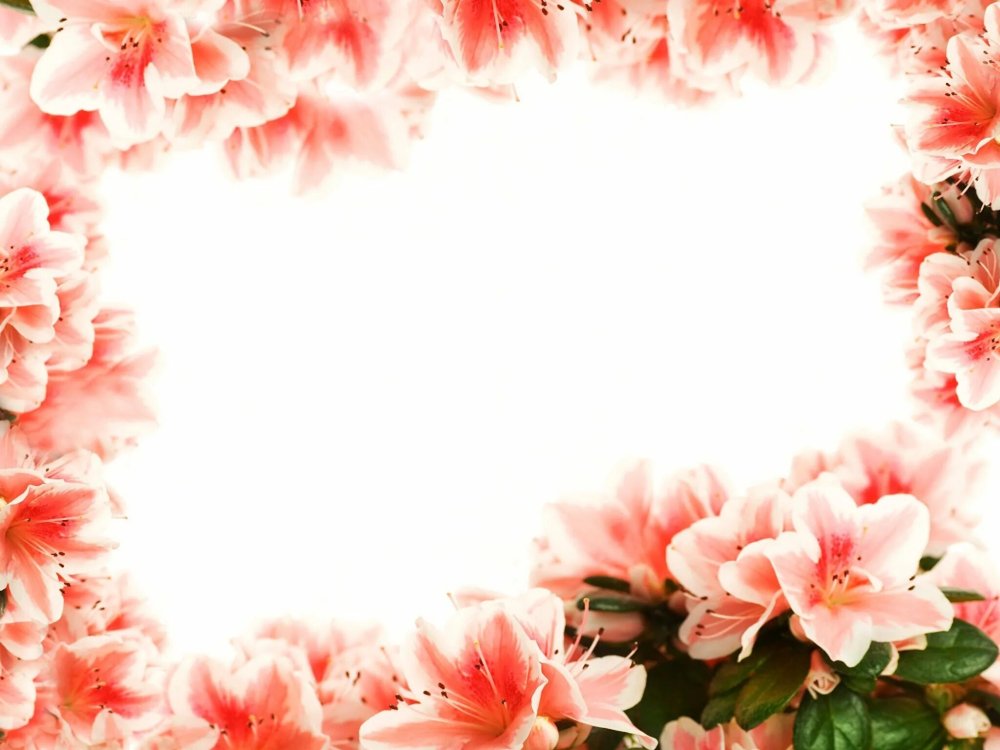 Рамка из цветов