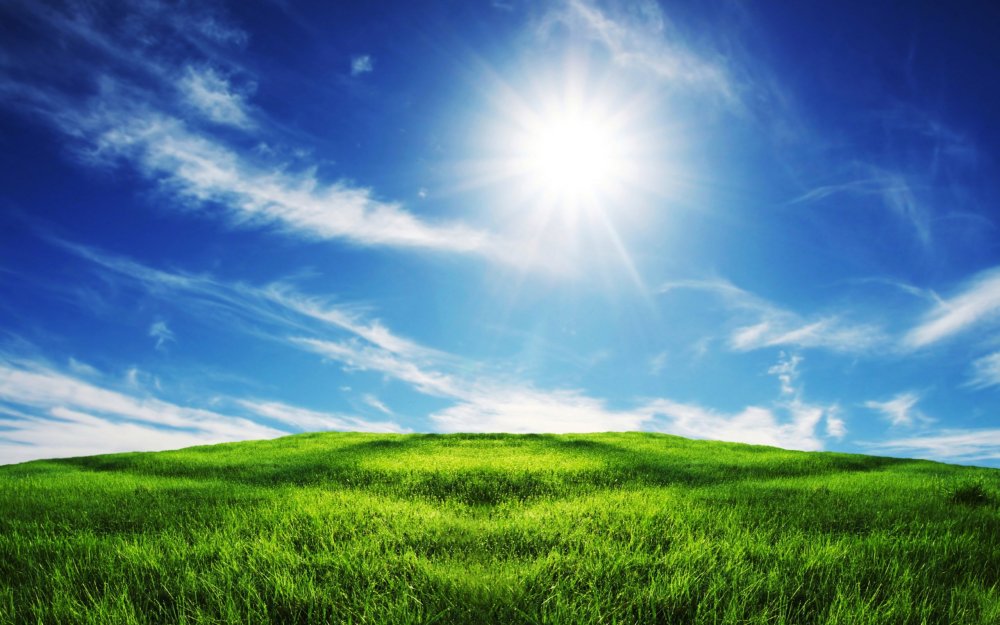 Трава и небо