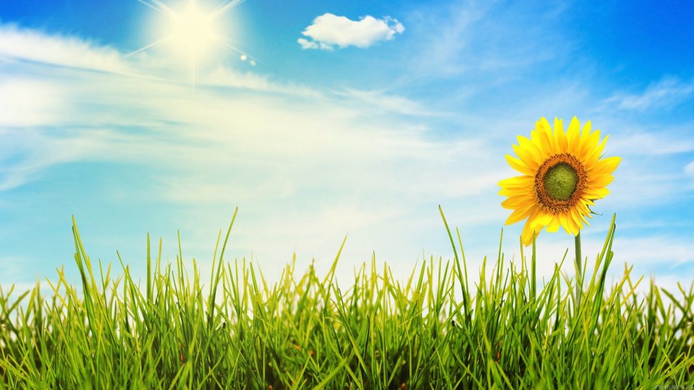 Голубое небо с лучами солнца