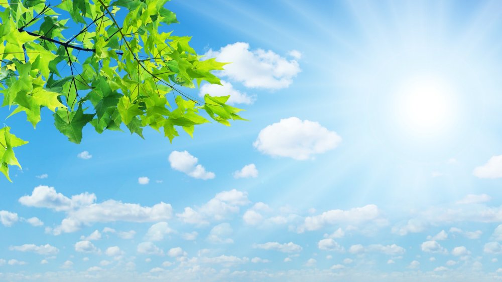 Голубое небо и солнце