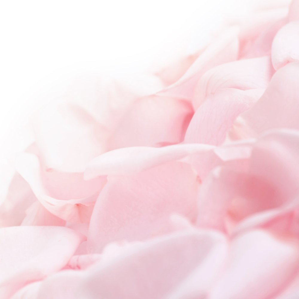 Нежный розовый цвет